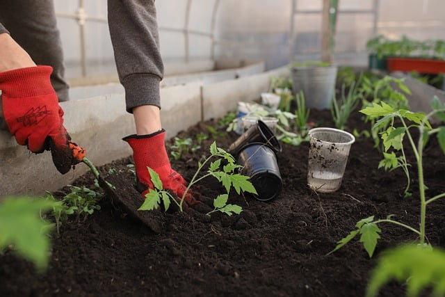 Tuinman in Tiel